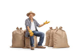 Mature farmer sitting on burlap sacks and gesturing with his hand isolated on white background